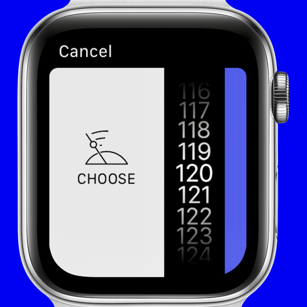 App Screenshot for Apple Watches